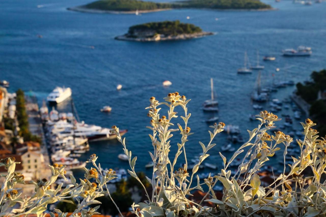 Feelhvar Along Bluelagoon Beach Χβαρ Εξωτερικό φωτογραφία